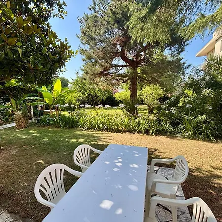 4 E 5 In Centro, Con Giardino, A 150 M Dal Mare פינטו